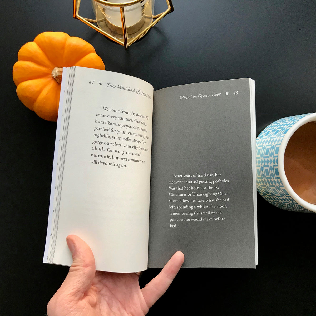 The Mini Book of Mini Stories